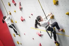 博彩政策对行业结构的影响（博彩政策如何塑造行业格局）